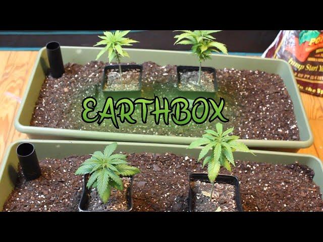 What is an Earthbox & How to Use it !