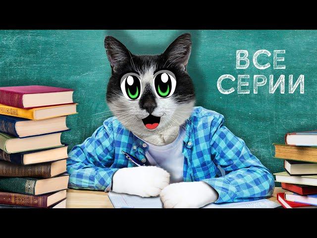 ШКОЛА КОТОВ : ВСЕ СЕРИИ ПОДРЯД! МАЛЕНЬКАЯ КОШЕЧКА МУРКА и КОТ МАЛЫШ ШКОЛЬНИКИ! СБОРНИК ЛУЧШИХ СЕРИЙ