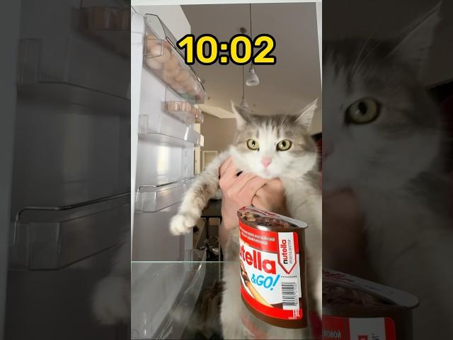 Our cat Lucy always steals the treats 