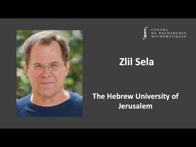 Zlil Sela: Model Theory over groups