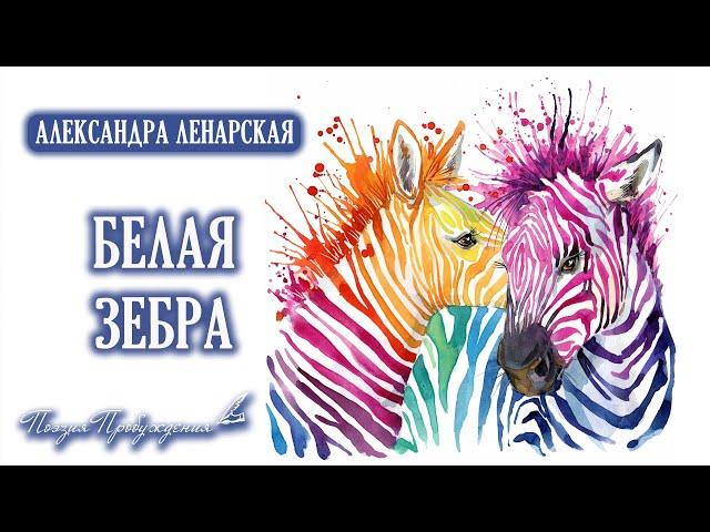 Белая Зебра (Жизнь - это зебра...) - Поэзия Пробуждения. А.Ленарская