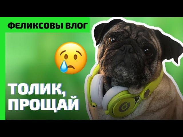 Как пережить смерть собаки | Как поговорить с детьми | Феликсовы Влог 1 #Мопс