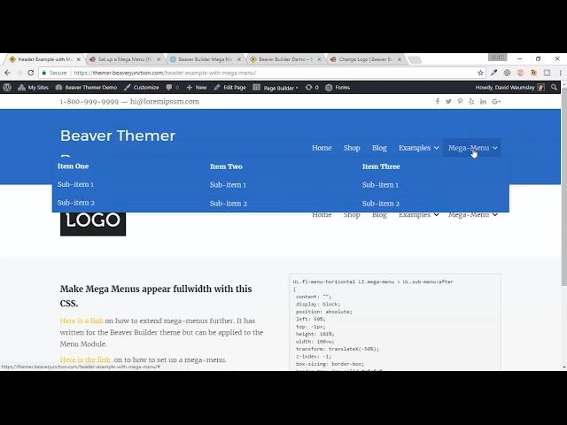 The new Beaver Builder Plugin's Mega-Menu and how to make it full-width.