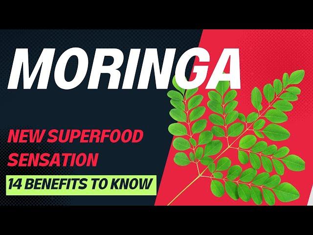 MORINGA - 14 REASONS TO INCLUDE THIS INCREDIBLE SUPERFOOD IN YOUR DIET