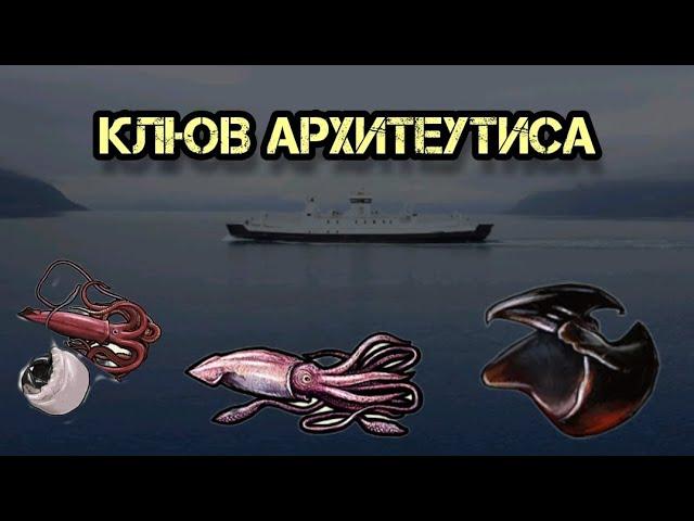 РР3 РУССКАЯ РЫБАЛКА 3 ФАРМ  МЯСО КАЛЬМАРА (КЛЮВ КРАКИНА,КЛЮВ АРХИТЕУТИСА)