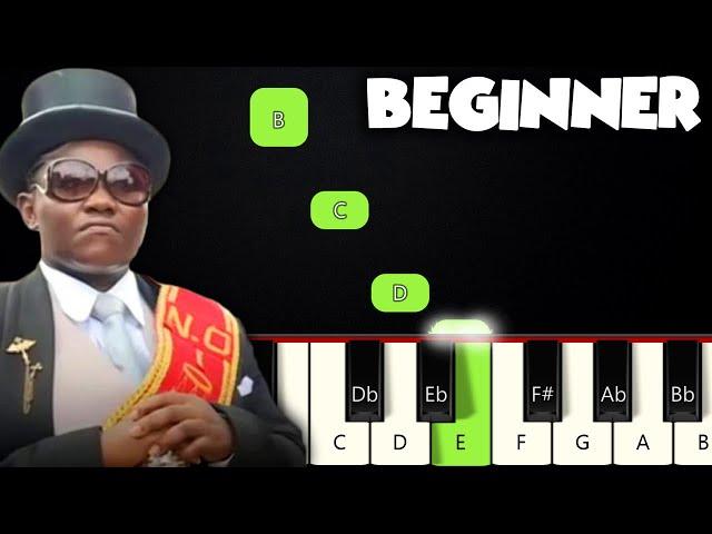 Coffin Dance | BEGINNER PIANO TUTORIAL + SHEET MUSIC by Betacustic