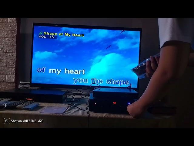 Shape Of My Heart Karaoke 24060 Songs (25KV 4507)