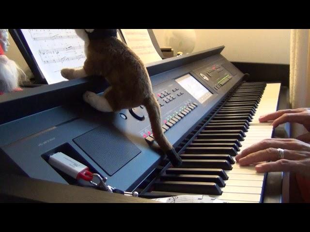 Over the rainbow (dal film "Il mago di Oz")(arr. Dan Coates) (cover piano by piancamax)