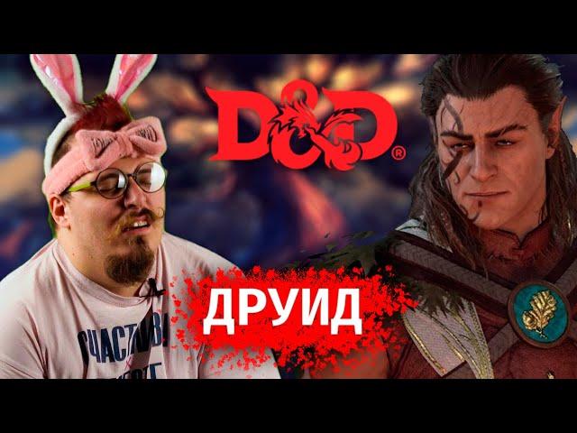 Гайд на Друида в D&D, разбор правил Dungeon & Dragons