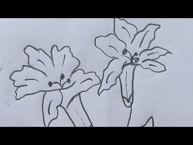 Easy drawing for beginners #satisfying #creativeart #shorts #Nabin's Creation