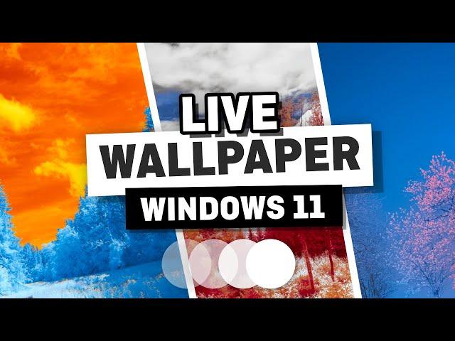 How to Add a Live Wallpaper in Windows 11 - Animated Wallpaper for Windows 11