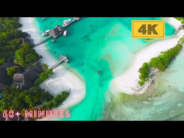 4K: Royalty Free Stock Footage | Free HD Videos - no copyright