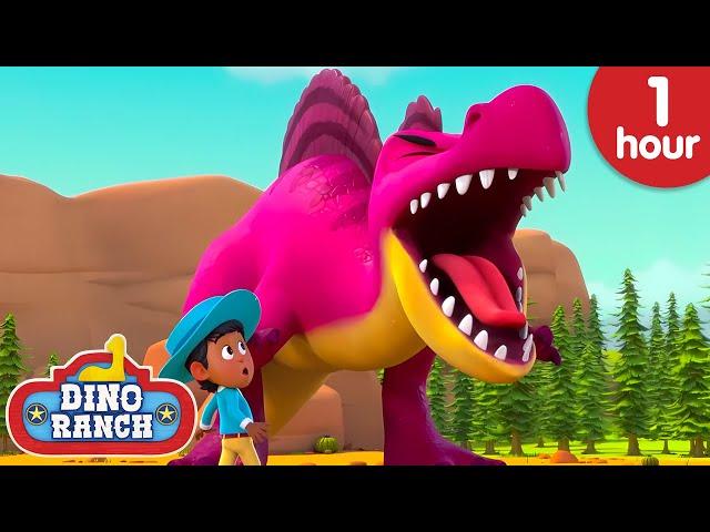 Stop Thunderfoot! | 1 Hour Dino Ranch