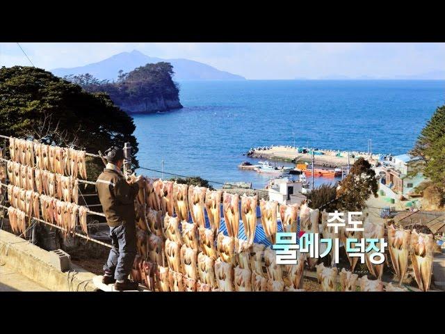 [경남100경 완전정복] 16경. 통영 추도 물메기덕장