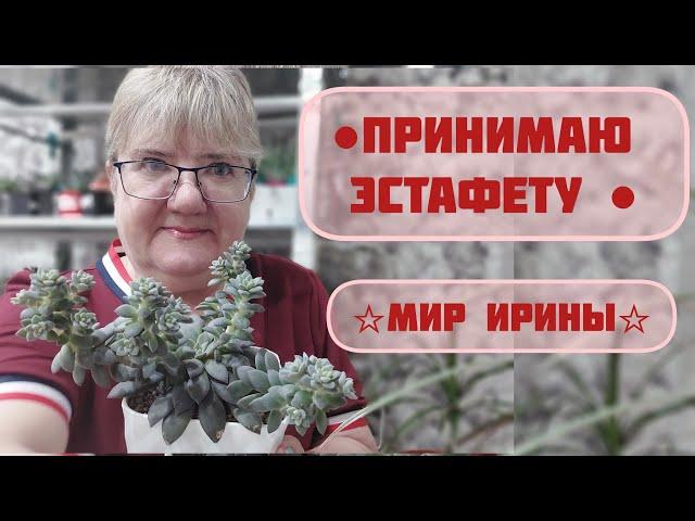 #мояколлекция ПРИНИМАЮ ЭСТАФЕТУ | МИР ИРИНЫ |ПЕРЕДАЮ ЭСТАФЕТУ 