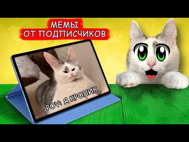 СМОТРИМ ВАШИ МЕМЫ ! Реакция на СМЕШНЫЕ МЕМЫ от ПОДПИСЧИКОВ! ЧТО ТВОРЯТ КОТ МАЛЫШ и КОШЕЧКА МУРКА