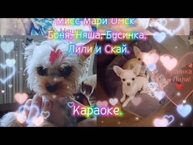 Мисс Мари Омск Боня, Няша, Бусинка, Лили и Скай. Караоке.