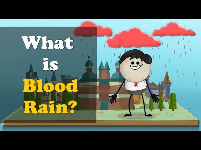 What is Blood Rain? + more videos | #aumsum #kids #science #education #children