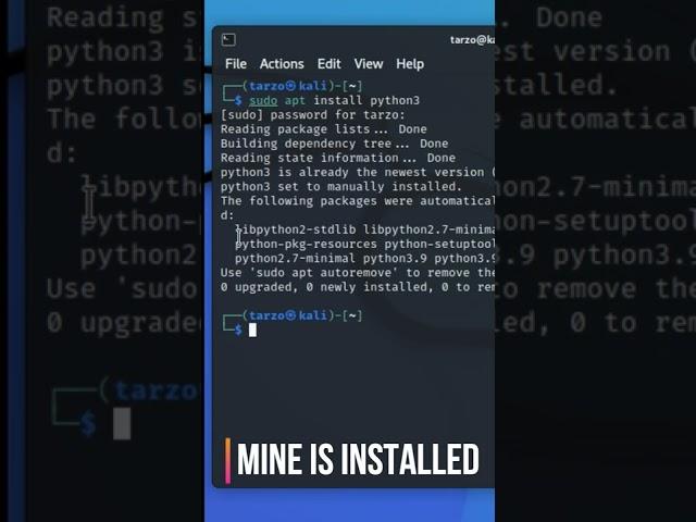 How to install Python on Kali Linux