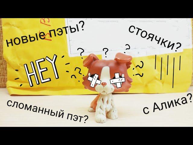 Lps: распаковка с АлиЭкспресс. Новые пэты! Пришел сломанный пэт?