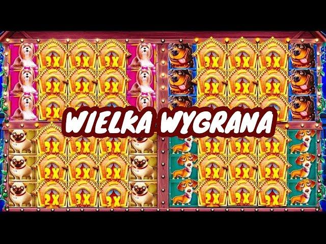 WIELKA WYGRANA W NOWYM DOG HOUSE MULTIHOLD! GRA BONUSOWA Z CZTEREMA EKRANAMI!