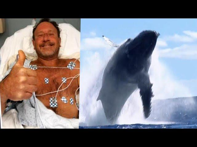 Man Swallowed by Humpback Whale Was 1 in a Trillion