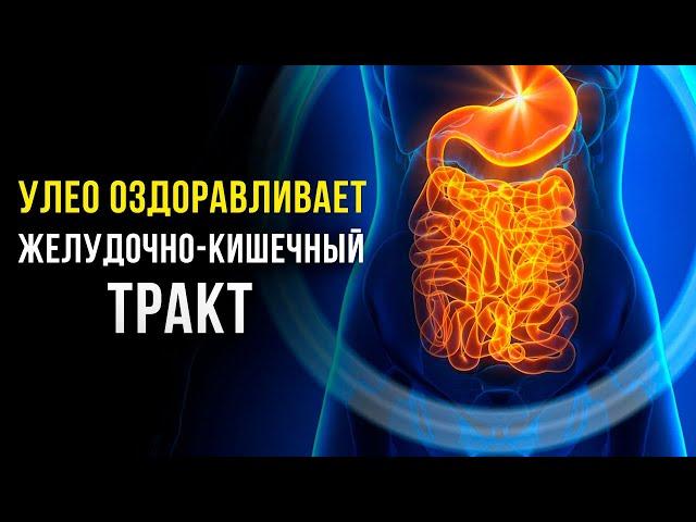 ЖКТ Без Проблем! Самое МОЩНОЕ Оздоровление ЖКТ | Исцеляющая Медитация