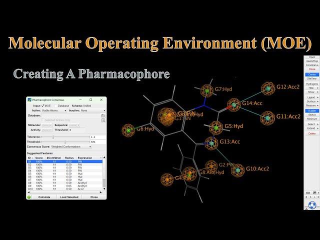 How To Create And Use A Pharmacophore In MOE | MOE Tutorial