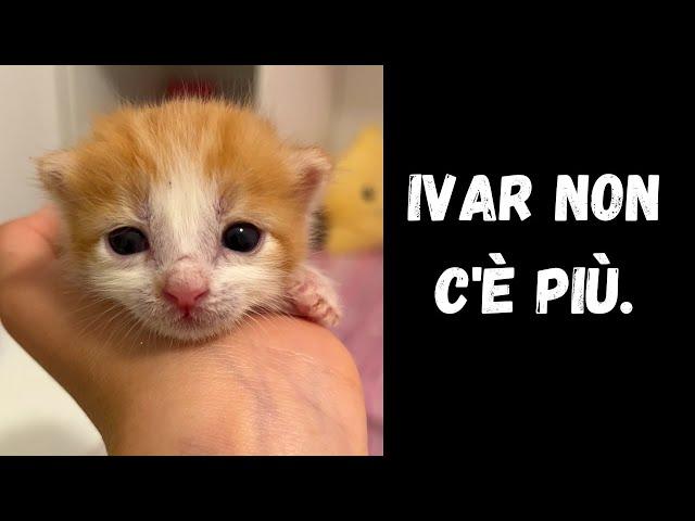 IVAR NON C'E' PIU'.