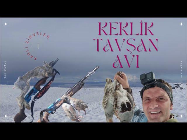 Karlı Zirveler Tavşan, Kınalı ve Çil 3'ü Bir yerde#patridge #harehunting#tavşanavı #perdrix#avcı