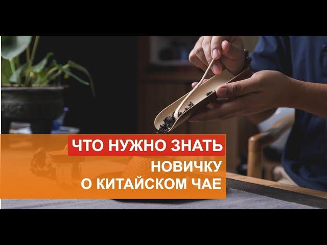 Новичку