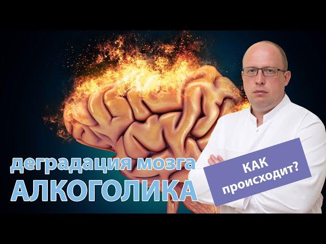  Как происходит деградация мозга алкоголика? 