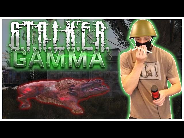 An Exercise in MISERY | STALKER GAMMA