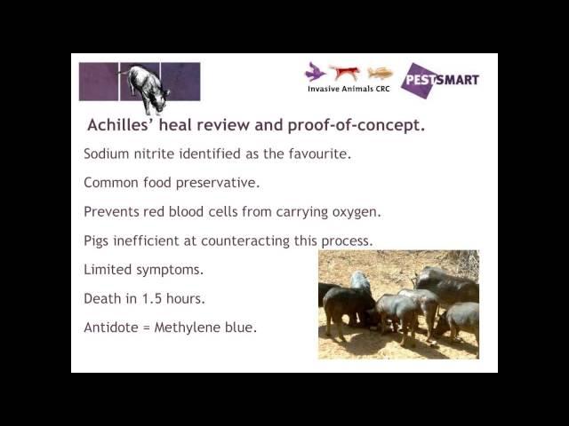 Controlling your feral pigs!
