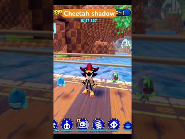 Cheetah shadow sonic speed sim