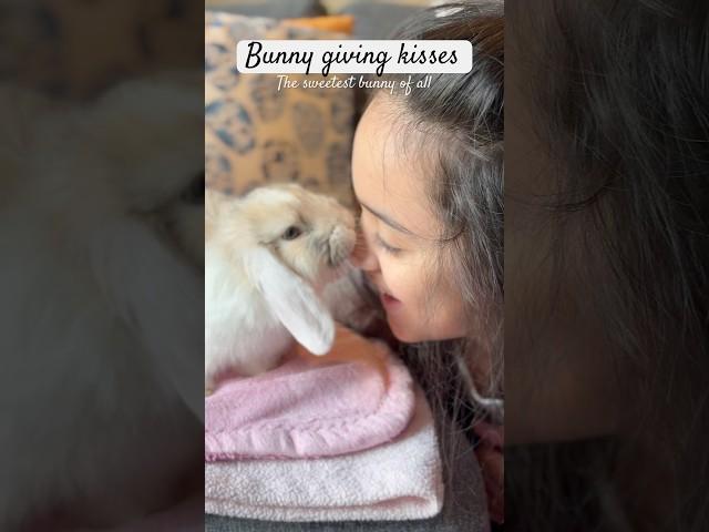 Who’s the sweetest bunny?  Our Oliver loves giving Julianna kisses  he loves her kisses too ️