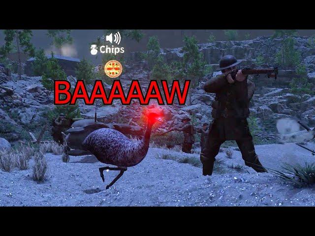 Holdfast: Frontlines WW1 Emu War in a Nutshell 4