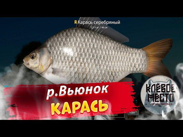 Русская рыбалка 4 - Фарм  | р. Вьюнок Карась |- рр4 троф карась вьюнок