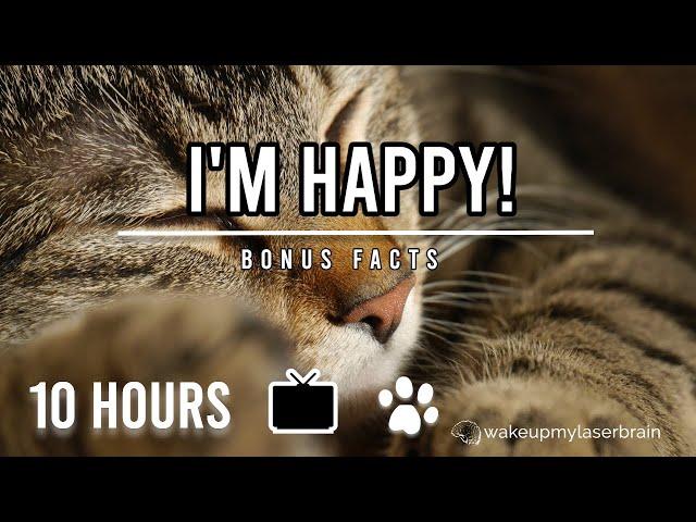 The Best Cat Purr Sound |  Black Screen |  10 Hours | Relieve Anxiety, Stress | ASMR | Bonus Facts