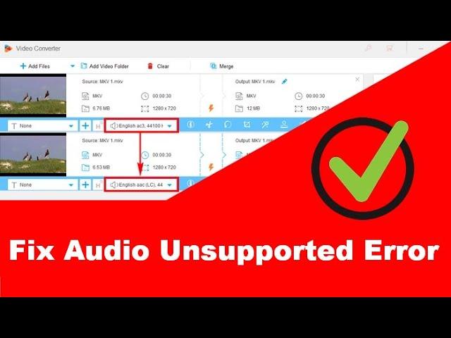 Change Audio Codec of a Video to Fix Unsupported Audio Error