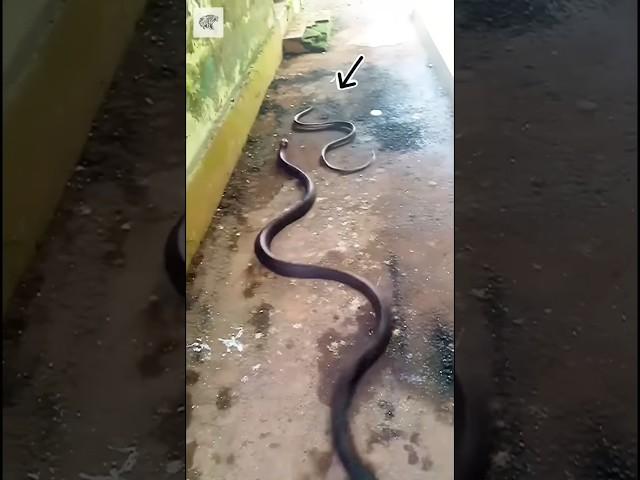 #comedy #bhojpuri #viral #best #bhojpuricomedy #funny #june2019