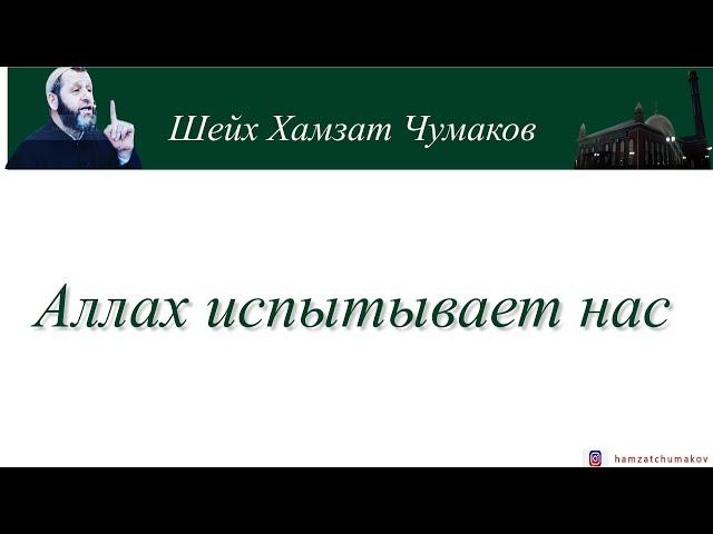 Шейх Хамзат Чумаков | Аллах испытывает нас.