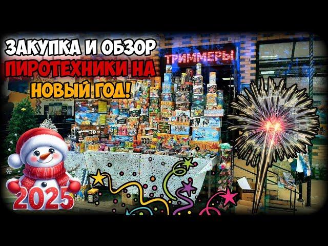 ЗАКУПКА ПИРОТЕХНИКИ | ОБЗОР ПЕТАРД И ФЕЙЕРВЕРКОВ НА НОВЫЙ 2025 ГОД! | 30.12.2024г