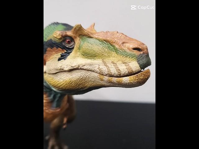 Botm Albertosaurus edit.