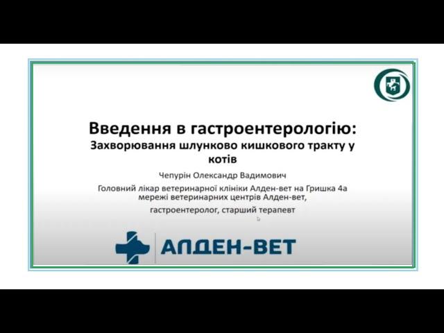 Cat's Breeder expert. Введення в гастроентерологію для заводчиків котів. Олександр Чепурін. 30.04.23