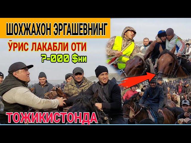 УЛОК КОНИБОДОМ // ШОХЖАХОННИ   УРИС ОТИ.... ТОЖИКИСТОНДА 06.01.2024 БУЗКАШИ