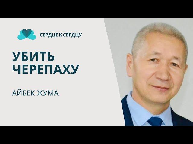 Айбек Жума - убить черепаху