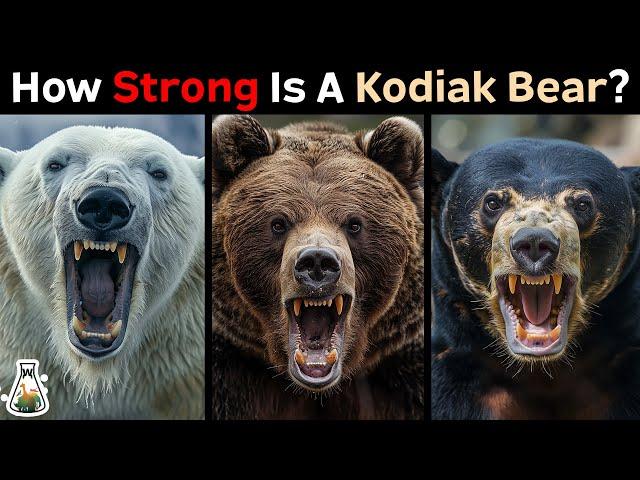 How Strong is a Kodiak Bear Compared to Other Bears