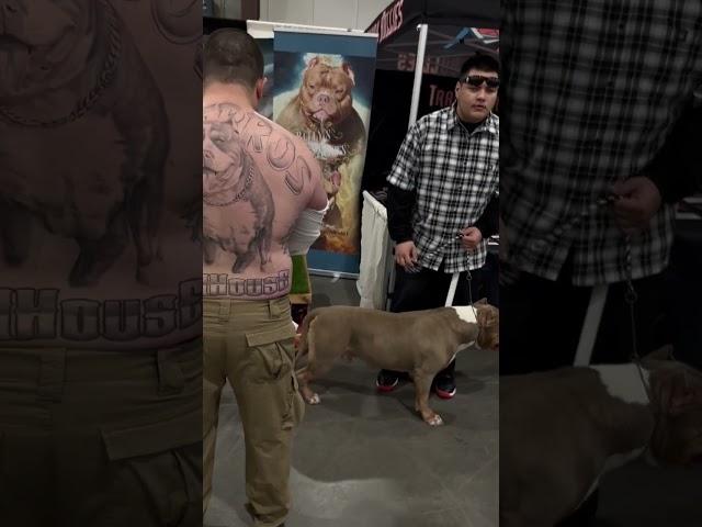 Dog show & Tattoos IG: @Twin_hg_ #viral #shortvideo #youtubeshorts #tattoo #reels #instagram #usa