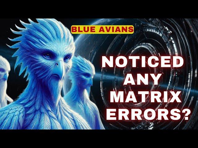 [The Blue Avians] There are errors in the matrix. Do you realize that?